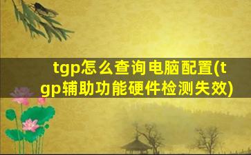 tgp怎么查询电脑配置(tgp辅助功能硬件检测失效)