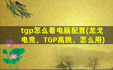 tgp怎么看电脑配置(龙戈电竞，TGP高跳，怎么用)