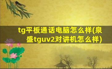 tg平板通话电脑怎么样(泉盛tguv2对讲机怎么样)