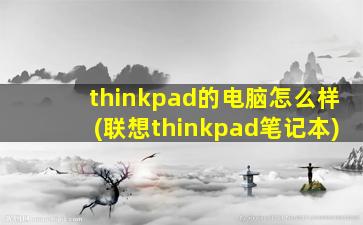 thinkpad的电脑怎么样(联想thinkpad笔记本)