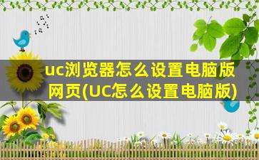 uc浏览器怎么设置电脑版网页(UC怎么设置电脑版)