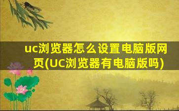 uc浏览器怎么设置电脑版网页(UC浏览器有电脑版吗)