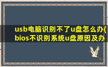 usb电脑识别不了u盘怎么办(bios不识别系统u盘原因及办法)