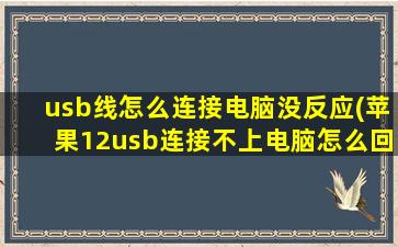 usb线怎么连接电脑没反应(苹果12usb连接不上电脑怎么回事)