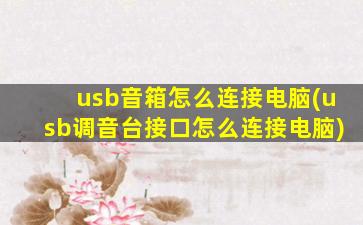 usb音箱怎么连接电脑(usb调音台接口怎么连接电脑)