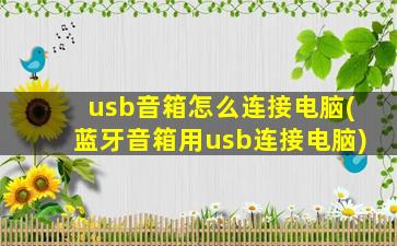 usb音箱怎么连接电脑(蓝牙音箱用usb连接电脑)