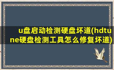 u盘启动检测硬盘坏道(hdtune硬盘检测工具怎么修复坏道)