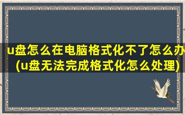 u盘怎么在电脑格式化不了怎么办(u盘无法完成格式化怎么处理)