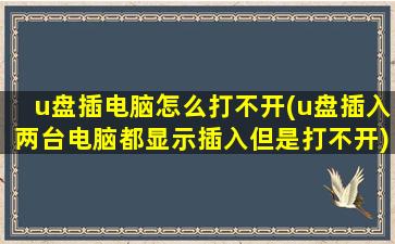 u盘插电脑怎么打不开(u盘插入两台电脑都显示插入但是打不开)