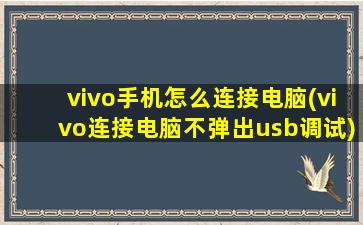 vivo手机怎么连接电脑(vivo连接电脑不弹出usb调试)