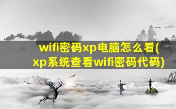 wifi密码xp电脑怎么看(xp系统查看wifi密码代码)