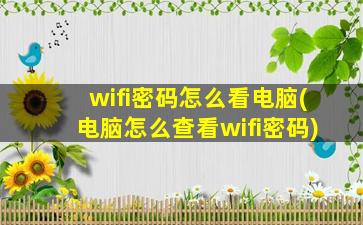 wifi密码怎么看电脑(电脑怎么查看wifi密码)