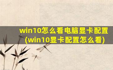 win10怎么看电脑显卡配置(win10显卡配置怎么看)