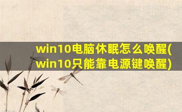 win10电脑休眠怎么唤醒(win10只能靠电源键唤醒)