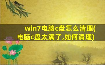 win7电脑c盘怎么清理(电脑c盘太满了,如何清理)