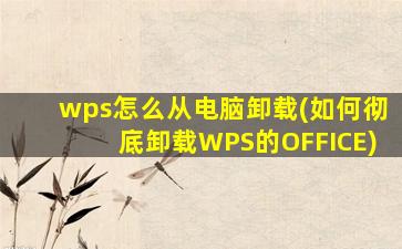 wps怎么从电脑卸载(如何彻底卸载WPS的OFFICE)