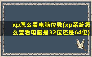 xp怎么看电脑位数(xp系统怎么查看电脑是32位还是64位)