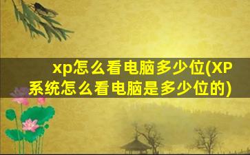 xp怎么看电脑多少位(XP系统怎么看电脑是多少位的)