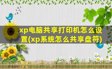 xp电脑共享打印机怎么设置(xp系统怎么共享盘符)