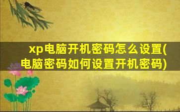 xp电脑开机密码怎么设置(电脑密码如何设置开机密码)