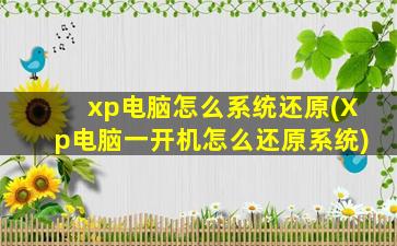 xp电脑怎么系统还原(Xp电脑一开机怎么还原系统)