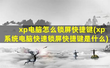 xp电脑怎么锁屏快捷键(xp系统电脑快速锁屏快捷键是什么)