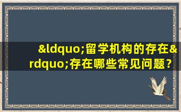 “留学机构的存在”存在哪些常见问题？