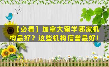 【必看】加拿大留学哪家机构最好？这些机构信誉最好！