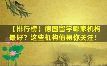 【排行榜】德国留学哪家机构最好？这些机构值得你关注！