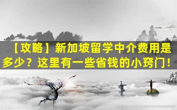 【攻略】新加坡留学中介费用是多少？这里有一些省钱的小窍门！