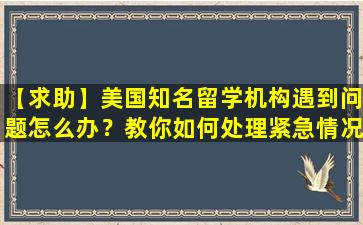 【求助】美国知名留学机构遇到问题怎么办？教你如何处理紧急情况