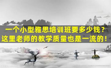 一个小型雅思培训班要多少钱？这里老师的教学质量也是一流的！