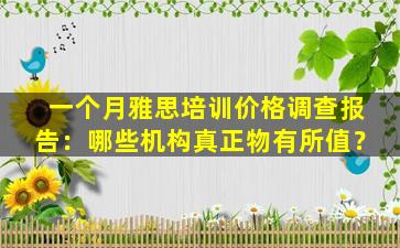 一个月雅思培训价格调查报告：哪些机构真正物有所值？