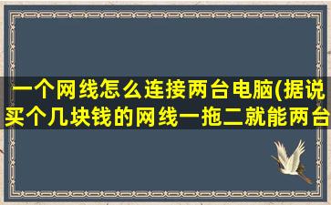 一个网线怎么连接两台电脑(据说买个几块钱的网线一拖二就能两台机共享上网了是不是真的阿)