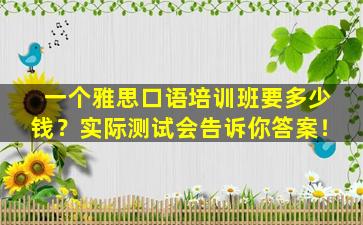 一个雅思口语培训班要多少钱？实际测试会告诉你答案！