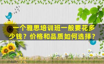 一个雅思培训班一般要花多少钱？价格和品质如何选择？