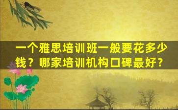 一个雅思培训班一般要花多少钱？哪家培训机构口碑最好？