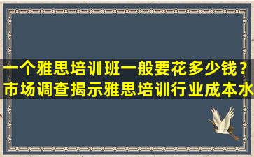 一个雅思培训班一般要花多少钱？市场调查揭示雅思培训行业成本水平