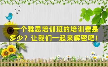 一个雅思培训班的培训费是多少？让我们一起来解密吧！