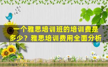 一个雅思培训班的培训费是多少？雅思培训费用全面分析