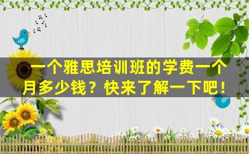 一个雅思培训班的学费一个月多少钱？快来了解一下吧！