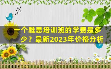 一个雅思培训班的学费是多少？最新2023年价格分析