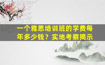 一个雅思培训班的学费每年多少钱？实地考察揭示