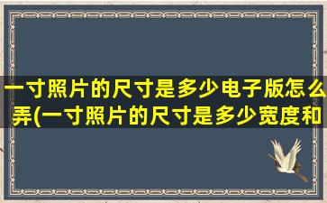 一寸照片的尺寸是多少电子版怎么弄(一寸照片的尺寸是多少宽度和高度)