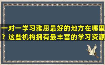 一对一学习雅思最好的地方在哪里？这些机构拥有最丰富的学习资源