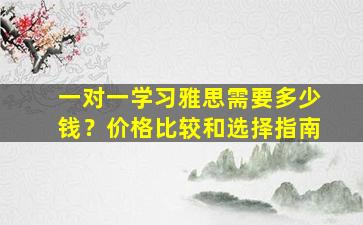 一对一学习雅思需要多少钱？价格比较和选择指南