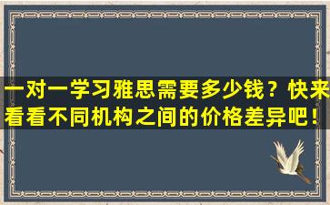 一对一学习雅思需要多少钱？快来看看不同机构之间的价格差异吧！