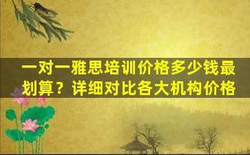 一对一雅思培训价格多少钱最划算？详细对比各大机构价格