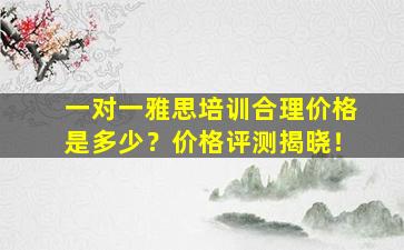 一对一雅思培训合理价格是多少？价格评测揭晓！