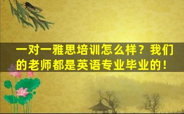 一对一雅思培训怎么样？我们的老师都是英语专业毕业的！